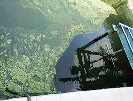 ̫�����崦��